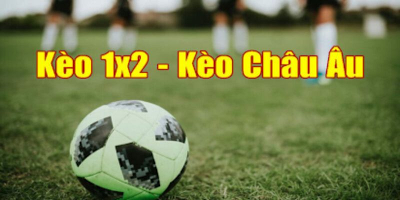 Chiến thuật đặt cược kèo hấp dẫn